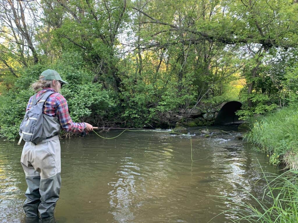 Can Rainbow Trout Live In Warm Water? Optimal Trout Temperatures ...